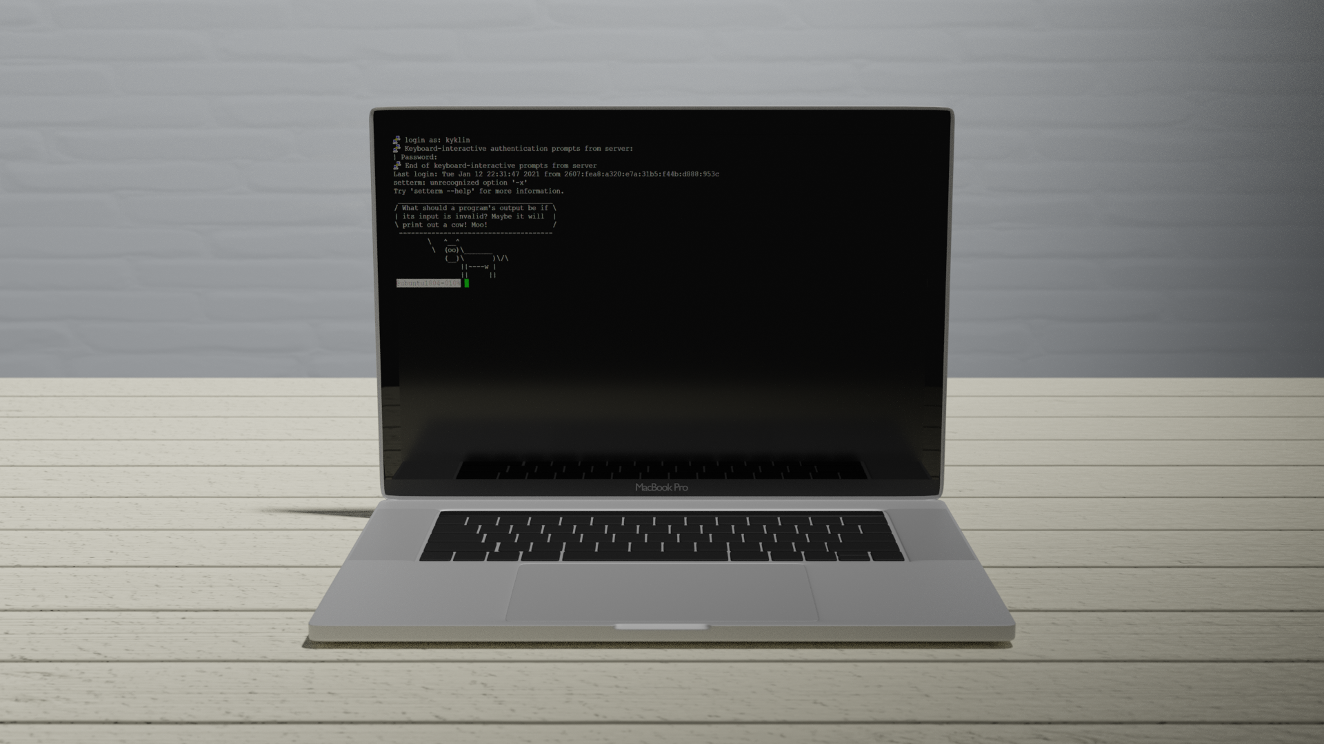 Mac Book Pro model